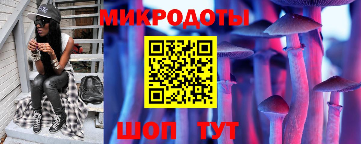 Псилоцибиновые грибы Cubensis Можайск